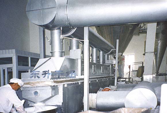 Vibrating fluidized bed 